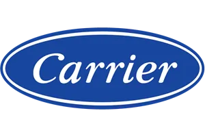 carrier icon